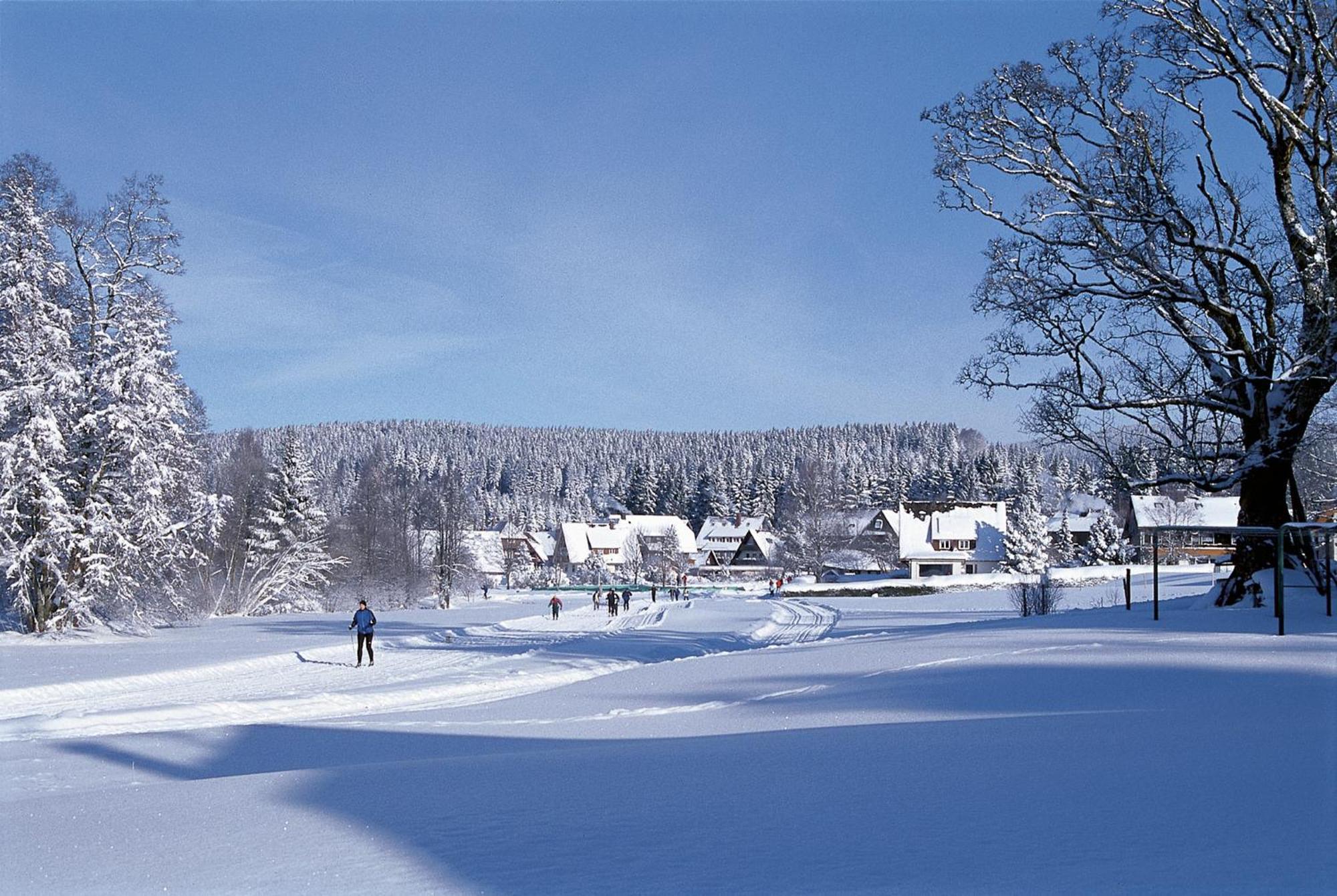 Drei Tannen - Wohnung 04 - Apartmenthaus, Titisee, Nahe Badeparadies Bagian luar foto