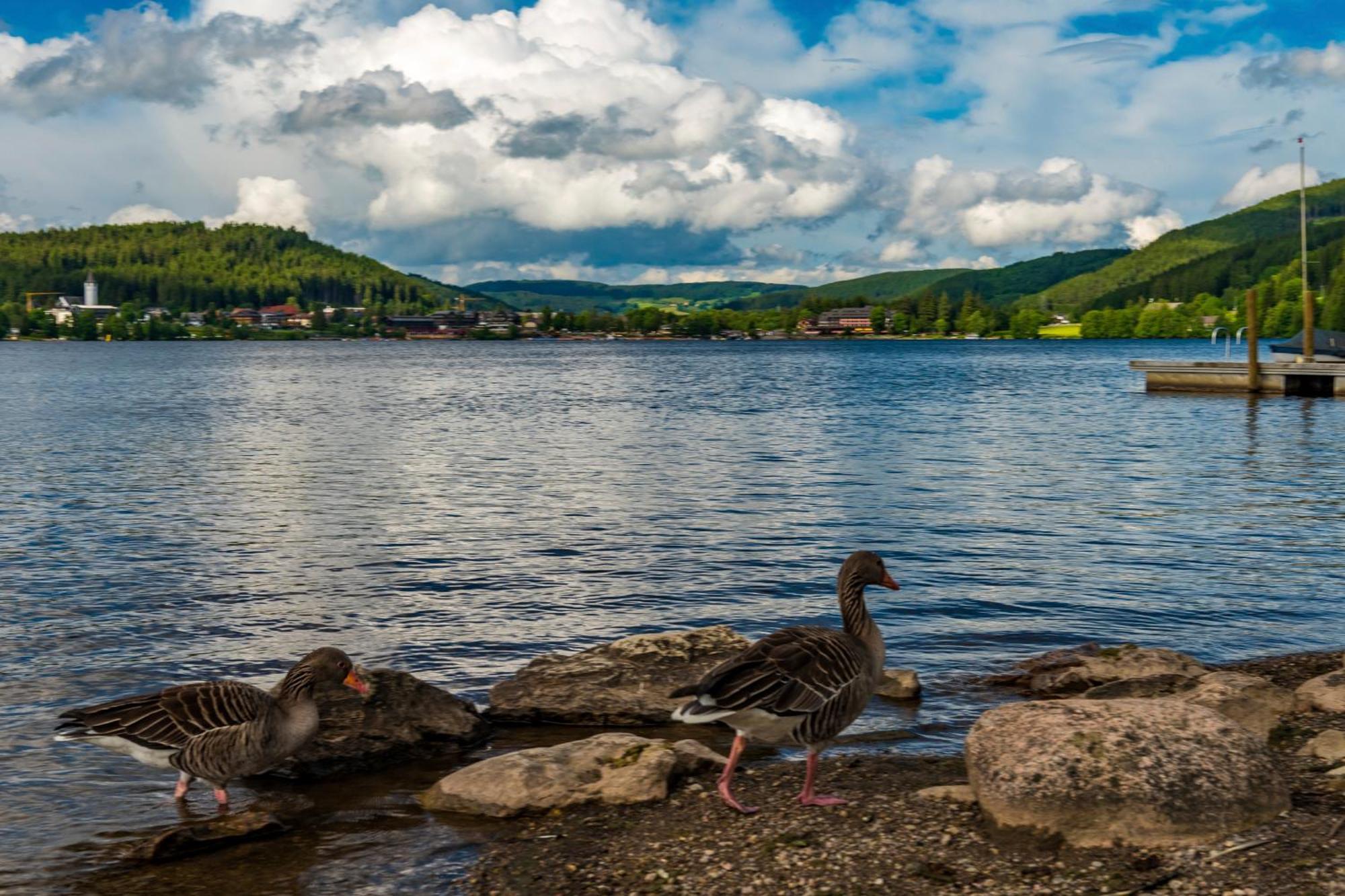 Drei Tannen - Wohnung 04 - Apartmenthaus, Titisee, Nahe Badeparadies Bagian luar foto