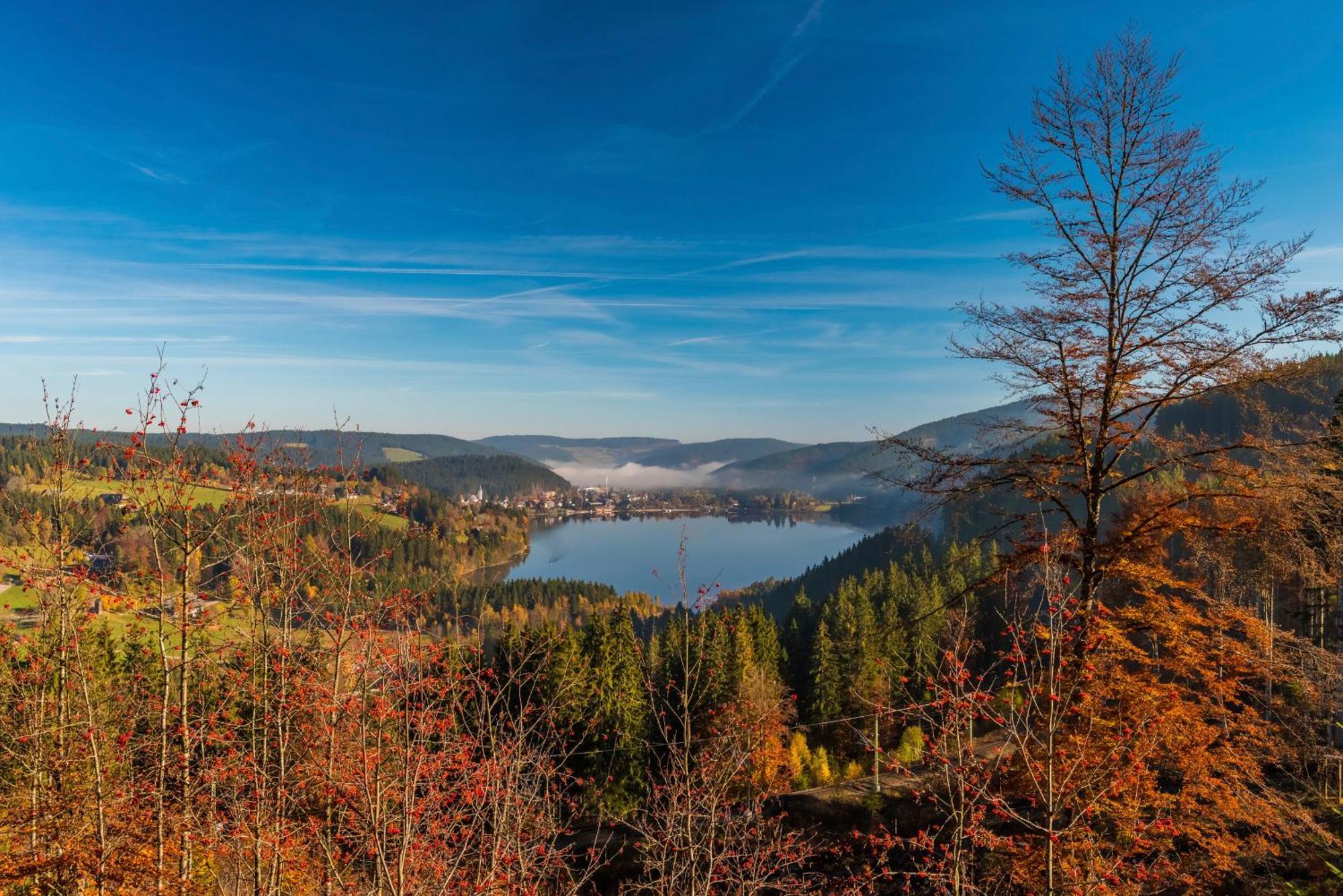 Drei Tannen - Wohnung 04 - Apartmenthaus, Titisee, Nahe Badeparadies Bagian luar foto