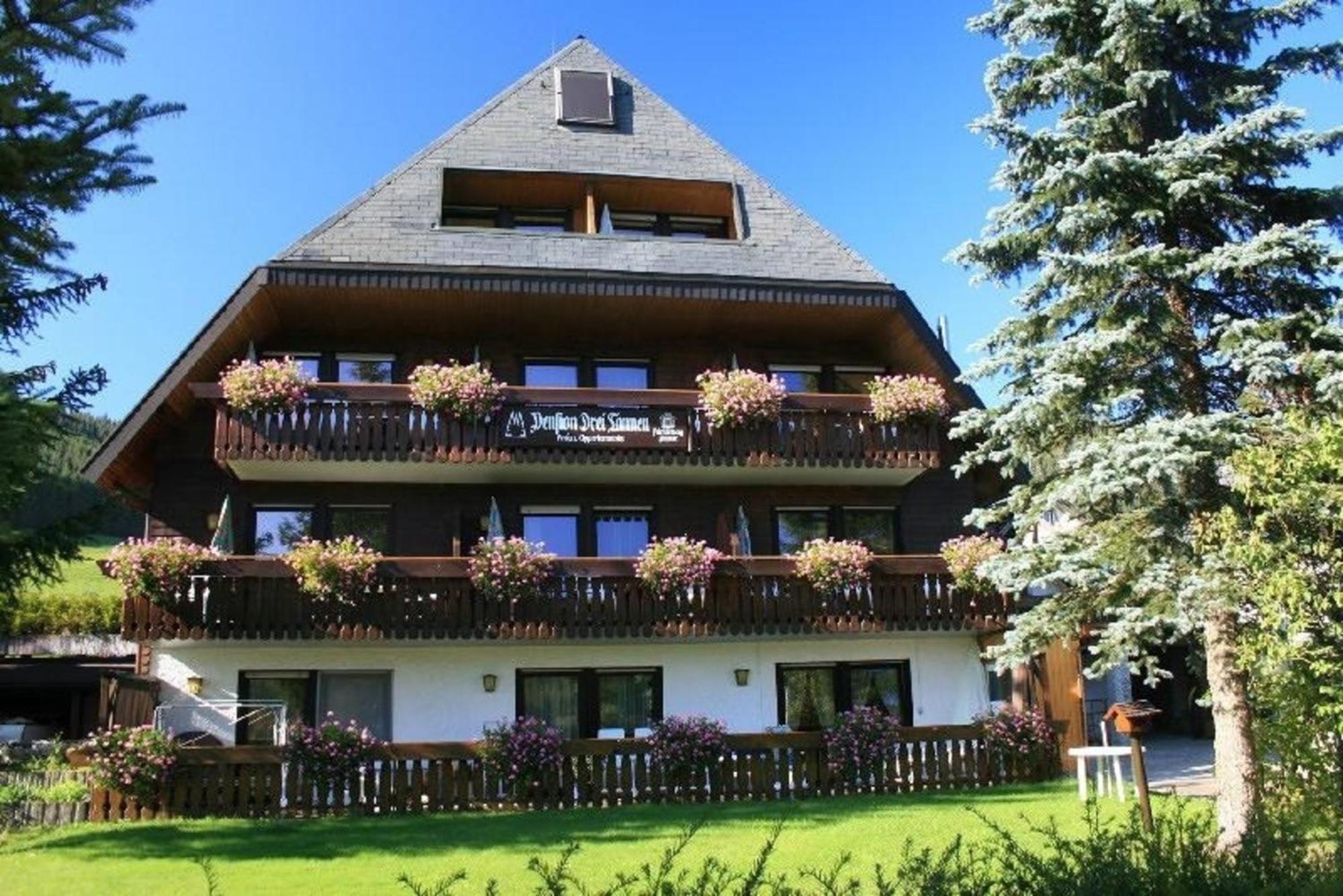 Drei Tannen - Wohnung 04 - Apartmenthaus, Titisee, Nahe Badeparadies Bagian luar foto